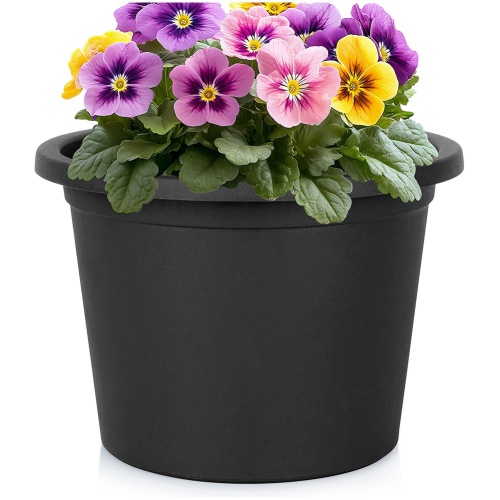 ece73264a062ae2e3f7c2eda24a90d56