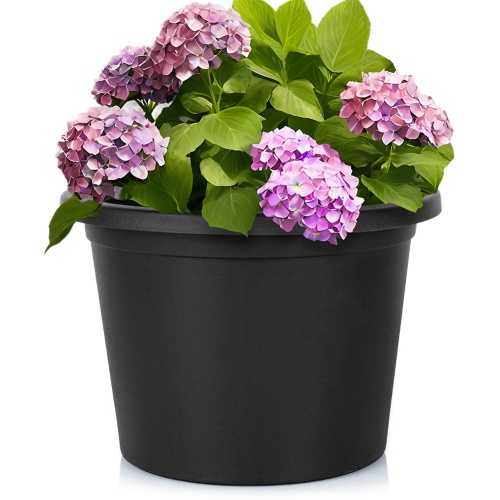 1512cff42eb6d9a5ff716f2342b61d7e