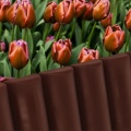 886685d8ad1b6ec51a9ed8c1b36d5c4e