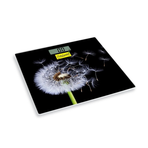 3af253fee2e9bb9b85bea081ec534da7