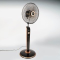 ts1805 (1).jpg