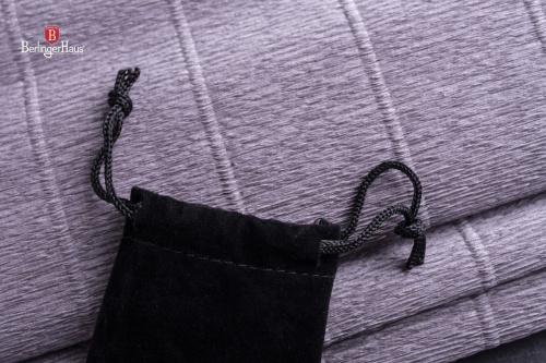 4 Piece Cutlery set with cover BERLINGER HAUS Champagne BH-2728